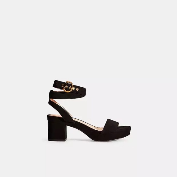 Coach Serena Strappy Platform Block-Heel Sandals - Picture 1 of 7